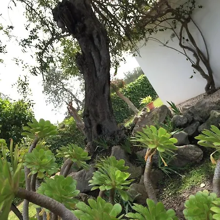 Villa Sao Jose Albufeira