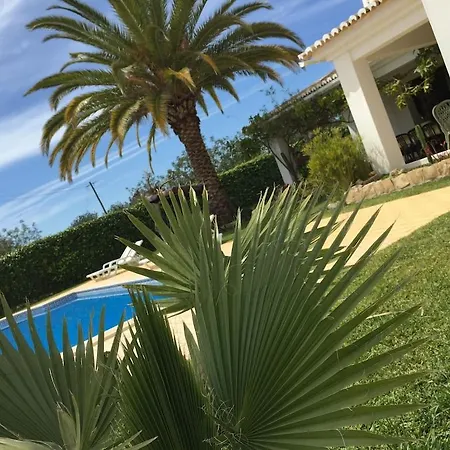 فيلة Sao Jose *